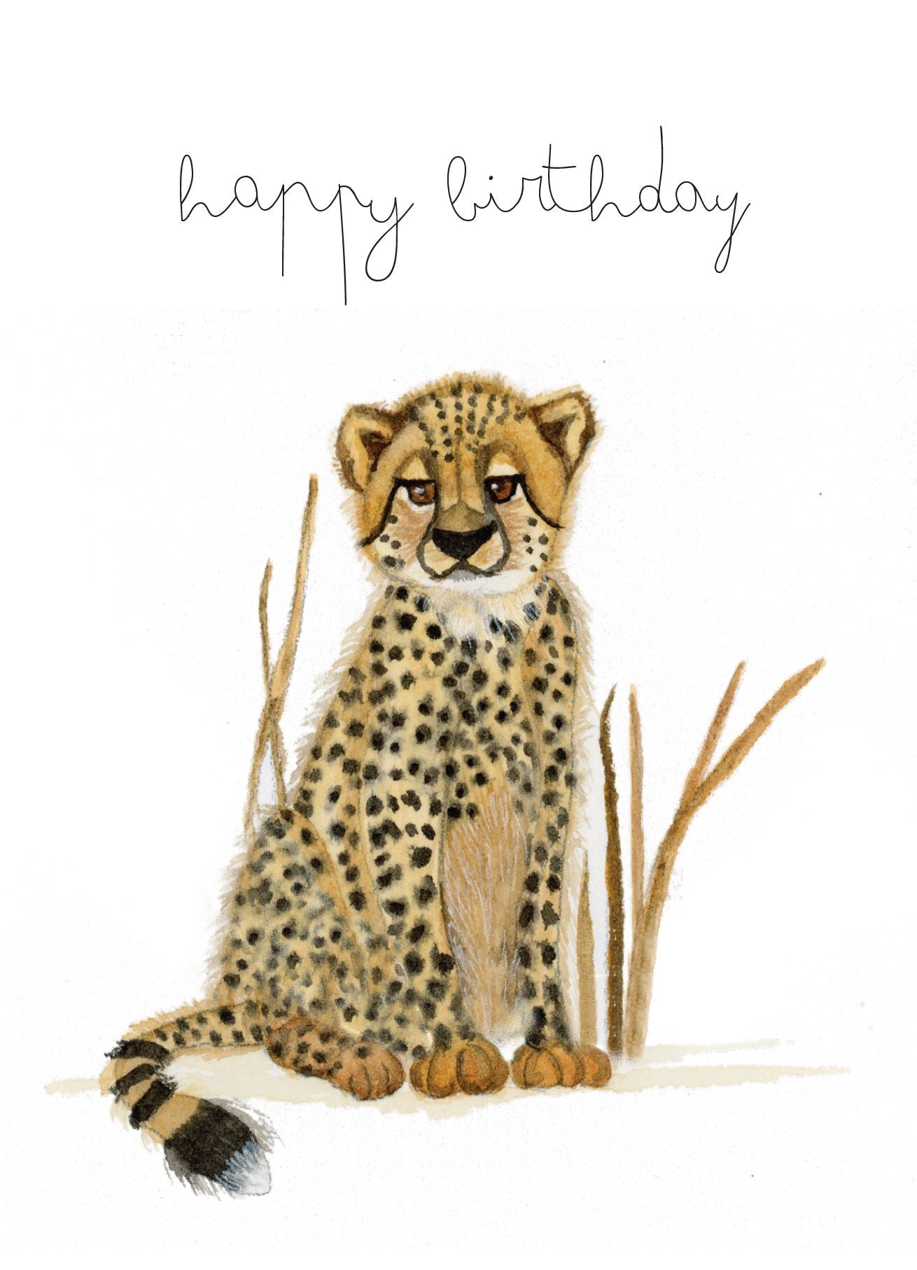 Baby Cheetah