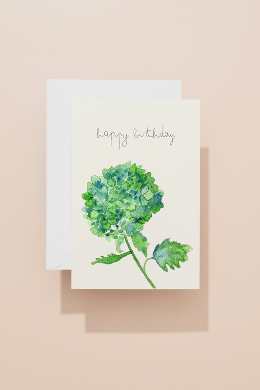 Hydrangea