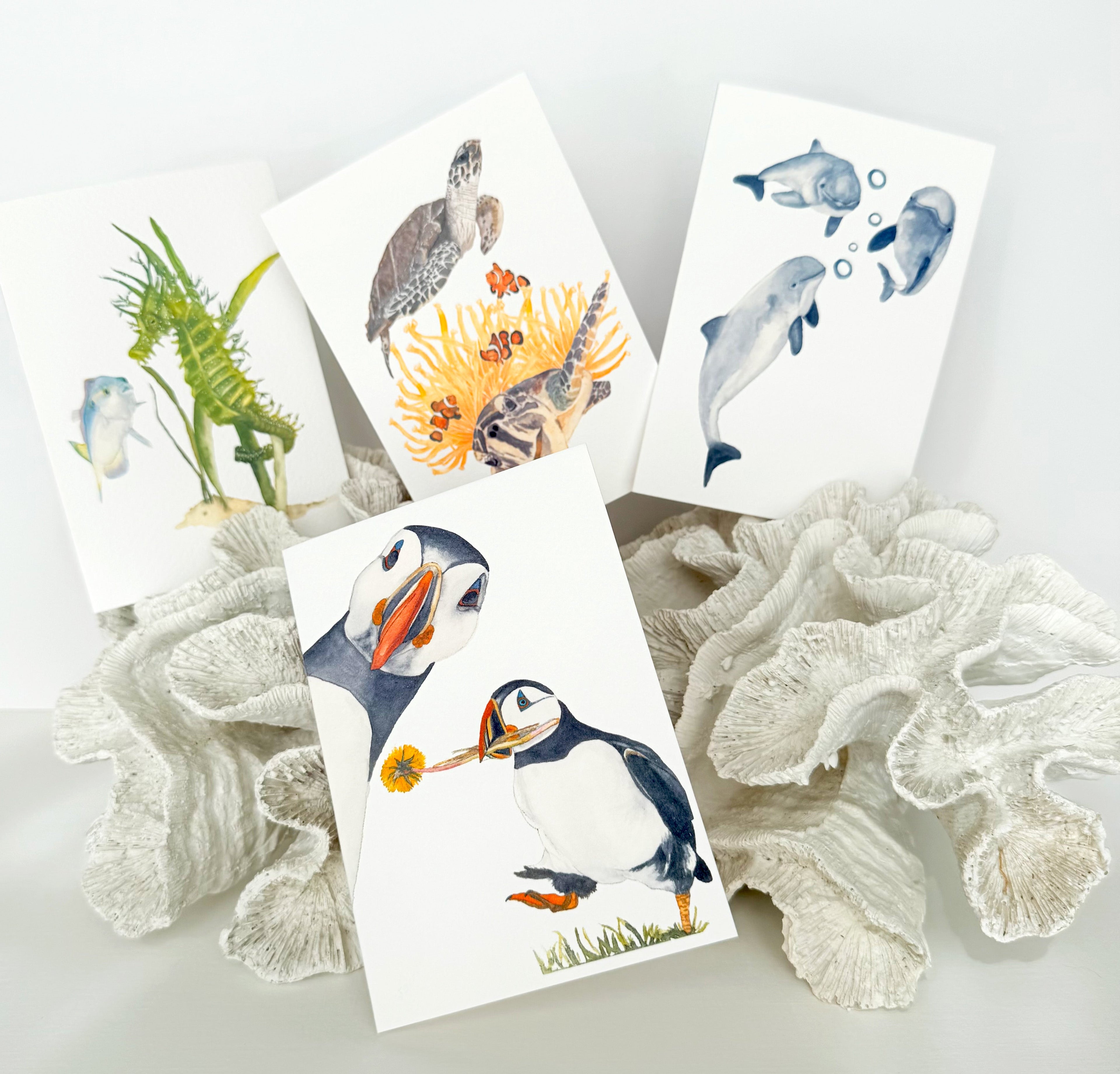 Creating Save the Seas Collection