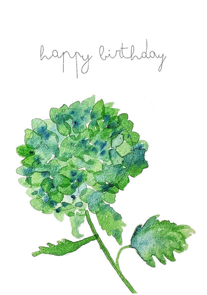 Hydrangea