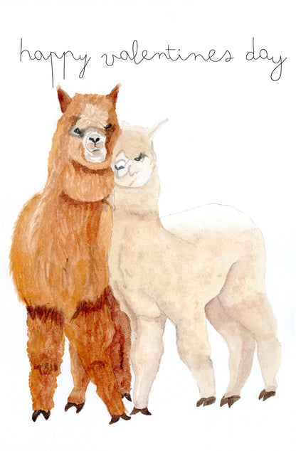 Alpaca My Love