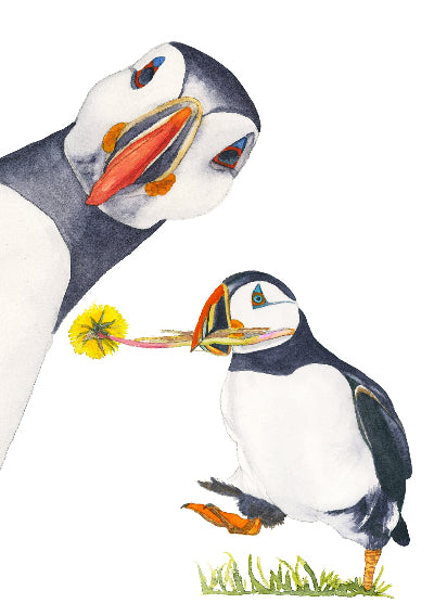 Illustration of two puffins with colorful beaks on a white background