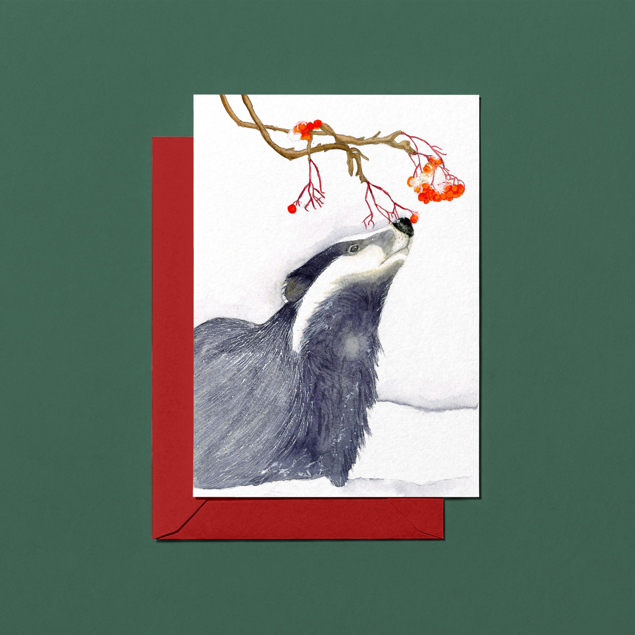 Christmas greeting card with a badger and berry branch on a snowy background, featuring a red envelope.