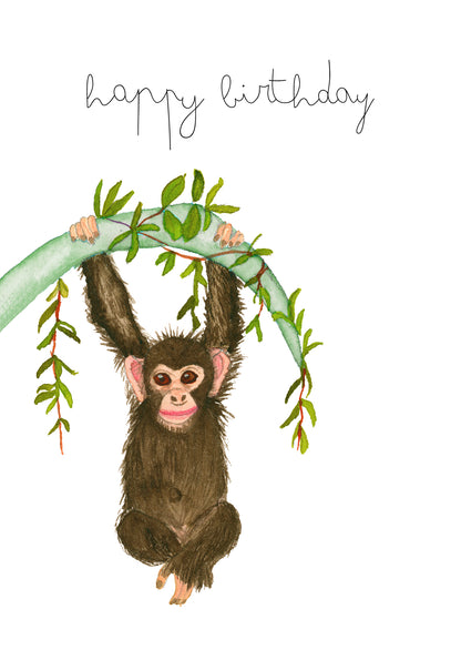Chimp