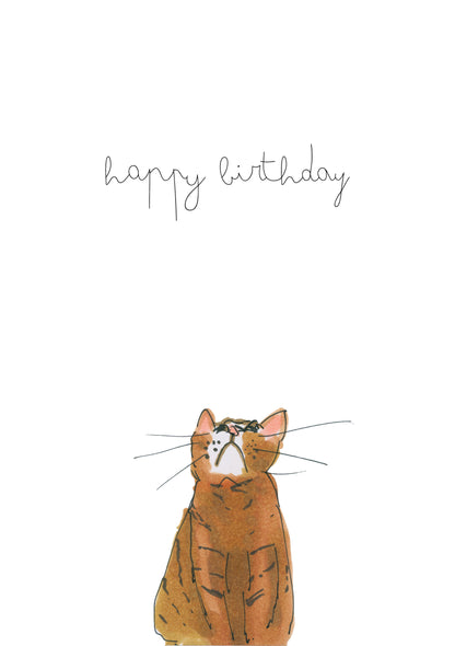 Ginger Cat
