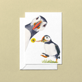 Greeting card with two puffins on a beige background