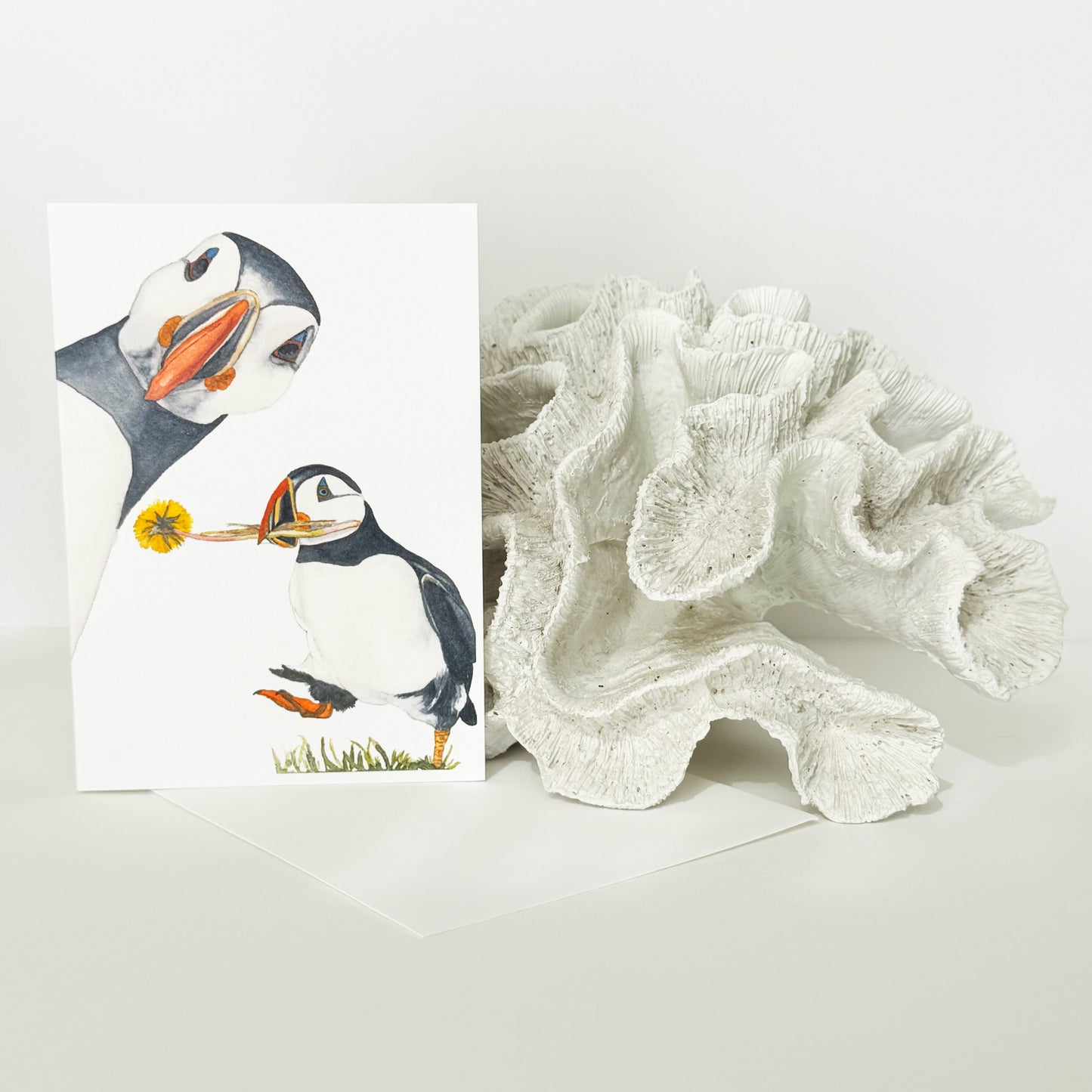 Puffin Photobomb