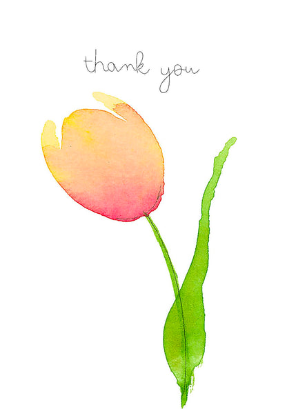 Tulip